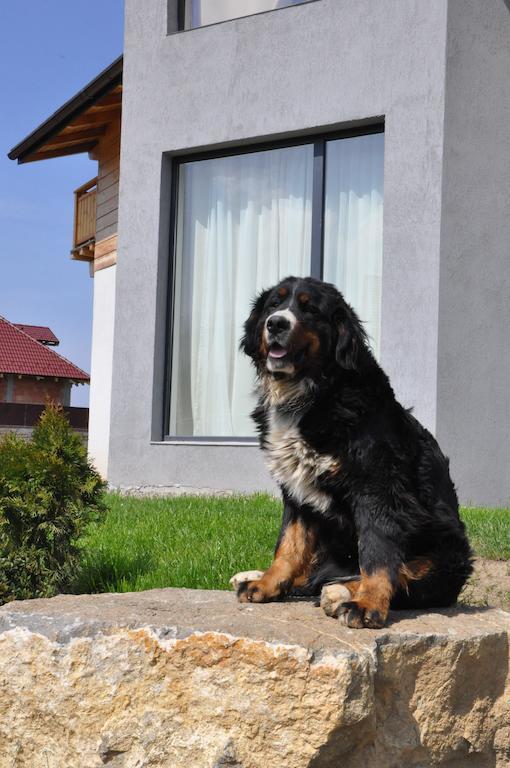 Villa Swiss 사셀레 외부 사진