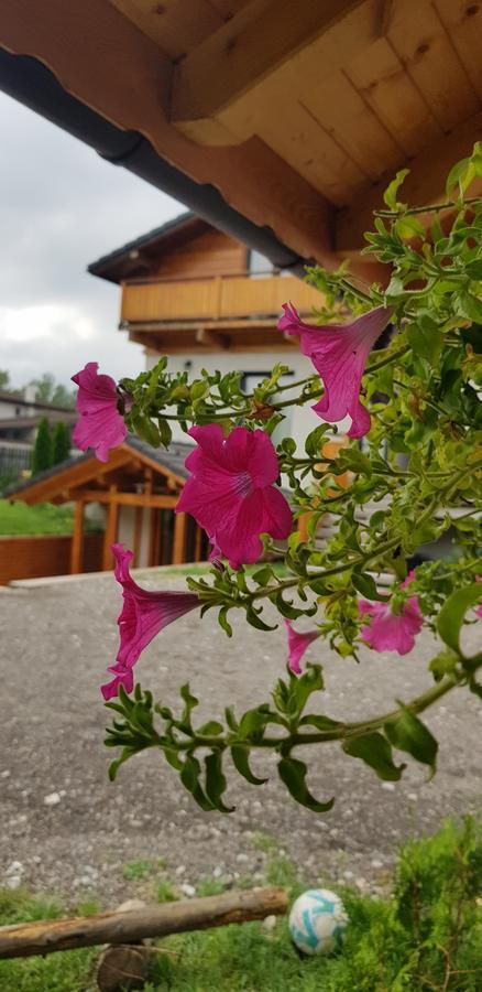 Villa Swiss 사셀레 외부 사진